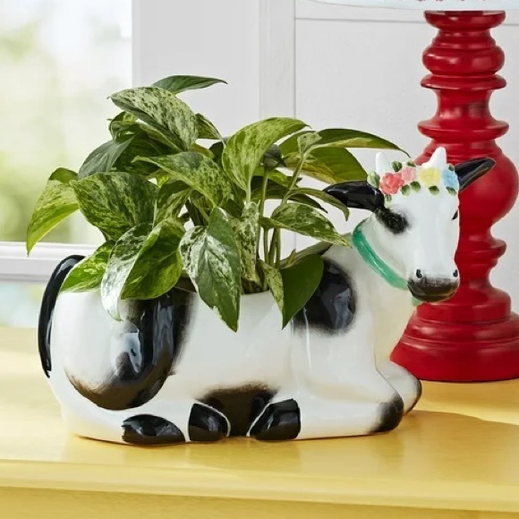The Pioneer Woman Other - 2023 🌺 New Pioneer Woman Black & White Cow Ceramic Planter